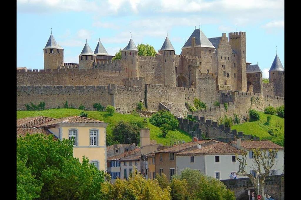 Bel appartement à Bastide St Louis Carcassonne Esterno foto